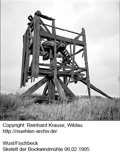 Foto des Mühlenskeletts, R. Krause 1995